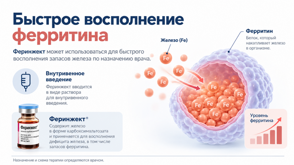 Изображение ChatGPT 27 сент. 2026 г., 15_51_15.png